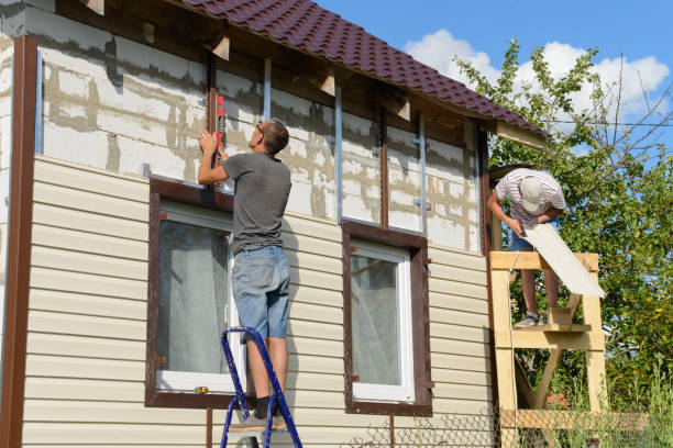 Best Moving and Downsizing Cleanouts  in Hammond, LA