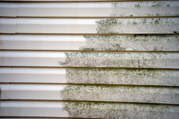 Best Foreclosure Cleanout  in Hammond, LA